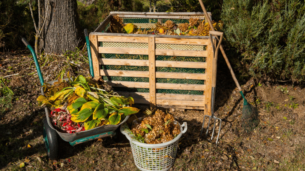 semi-jardin