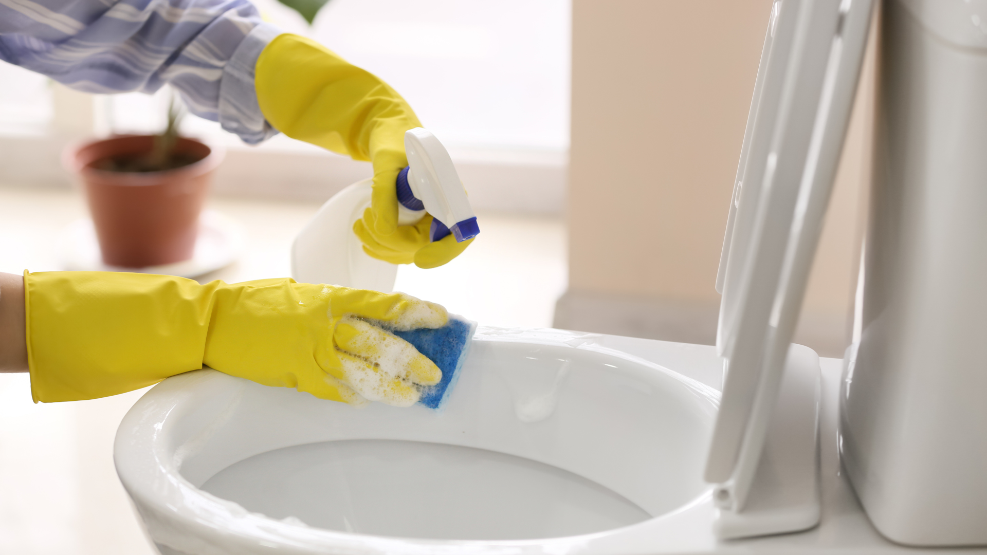 detruisez-vos-sanitaires