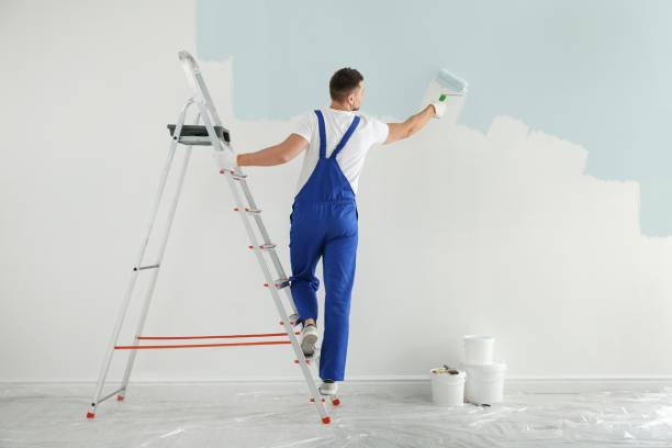 entreprise de peinture rafrachîr un appartement une maison mur couleur artisan