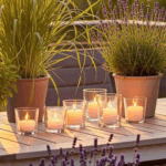 plantes-anti-moustiques